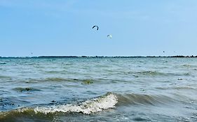 Strandmuschel Gelting